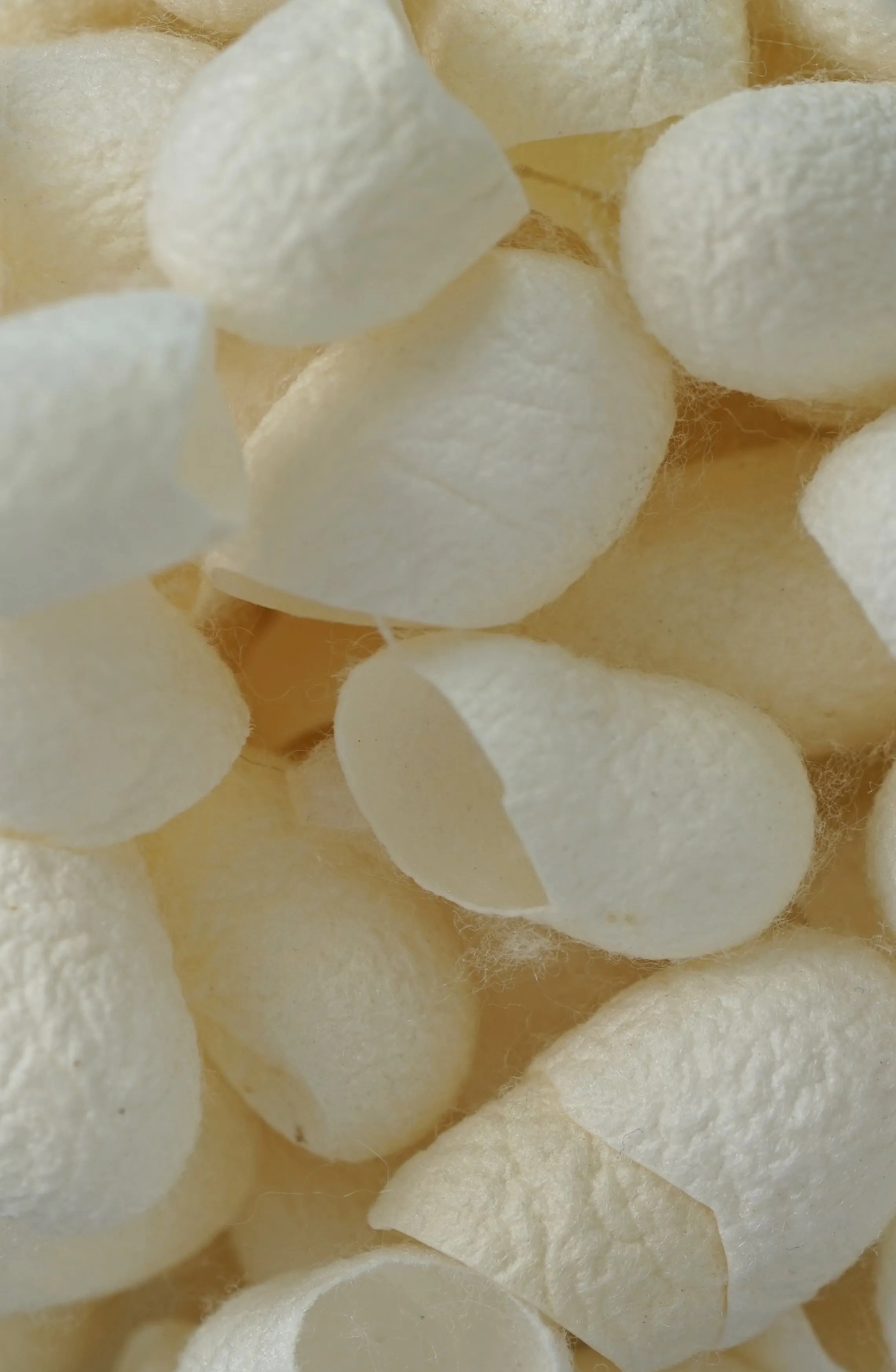 EXFOLIATING SILK COCOONS