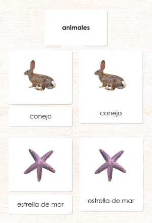 Imperfect Spanish Animal Kingdom 3-Part Cards