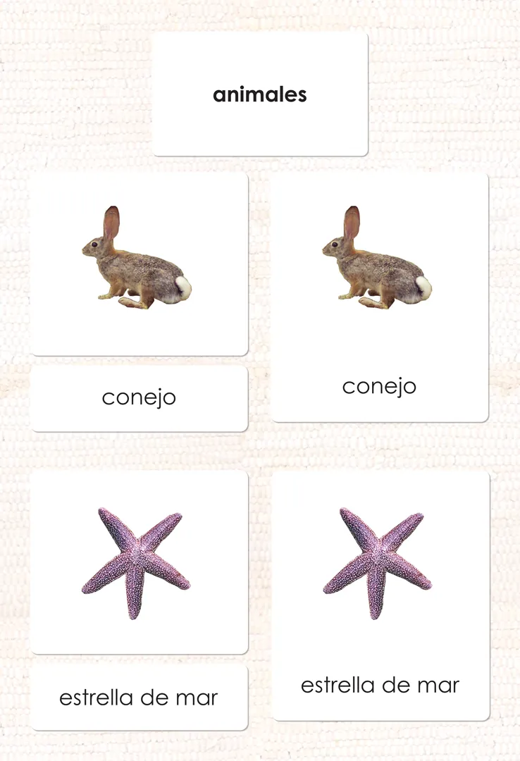 Imperfect Spanish Animal Kingdom 3-Part Cards
