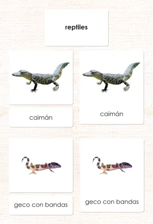 Imperfect Spanish Reptiles 3-Part Cards