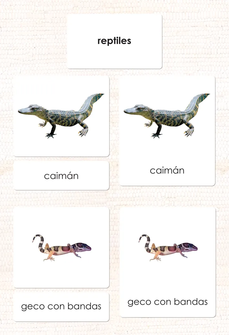 Imperfect Spanish Reptiles 3-Part Cards