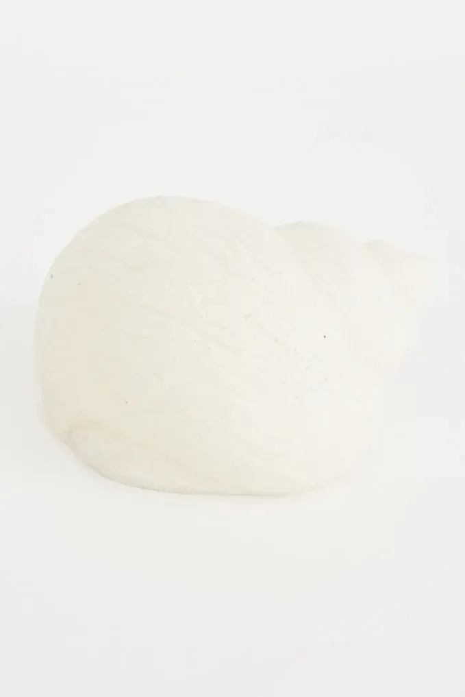 Lámpara en resina con forma de caracola pequeña