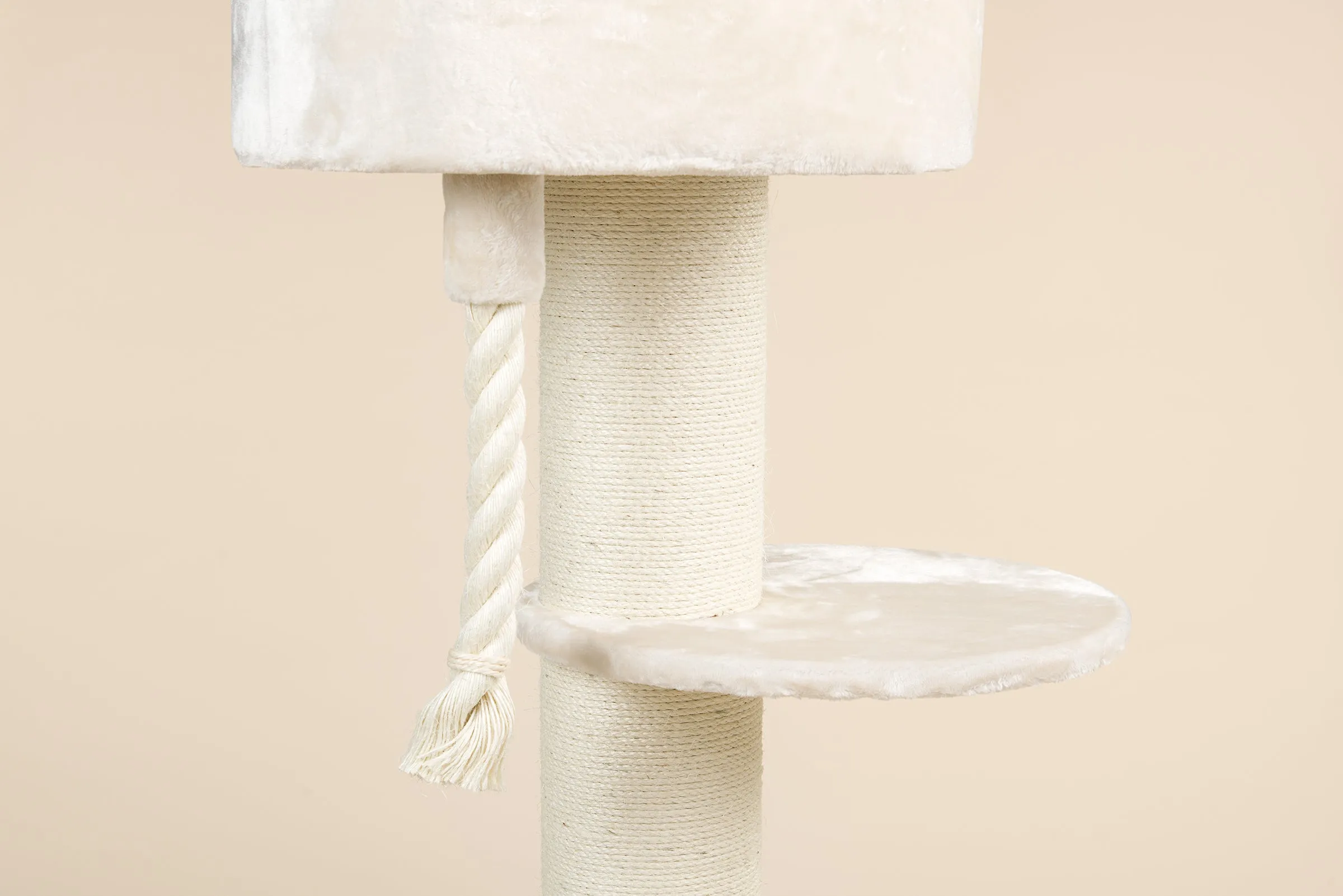 Maine Coon Sleeper Beige