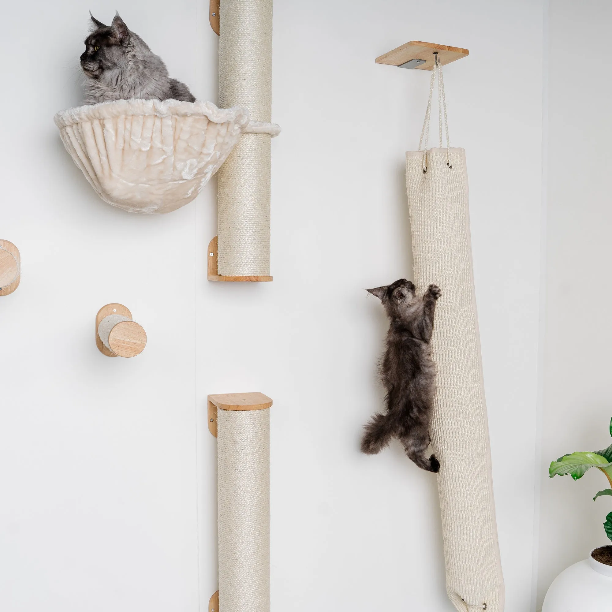 Muro Escalada Para Gatos - Bolsa de Escalada y Rascado (Beige)