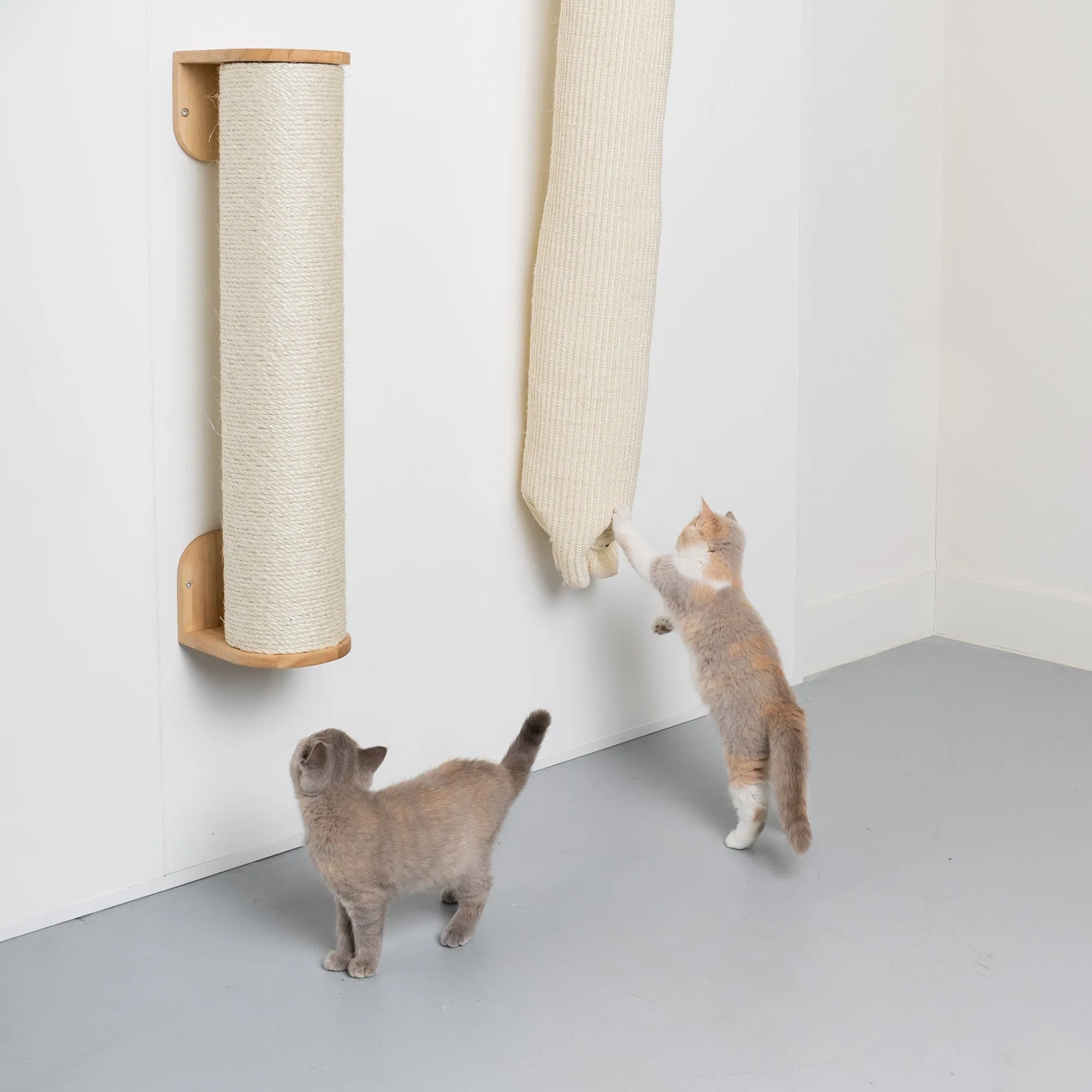 Muro Escalada Para Gatos - Bolsa de Escalada y Rascado (Beige)