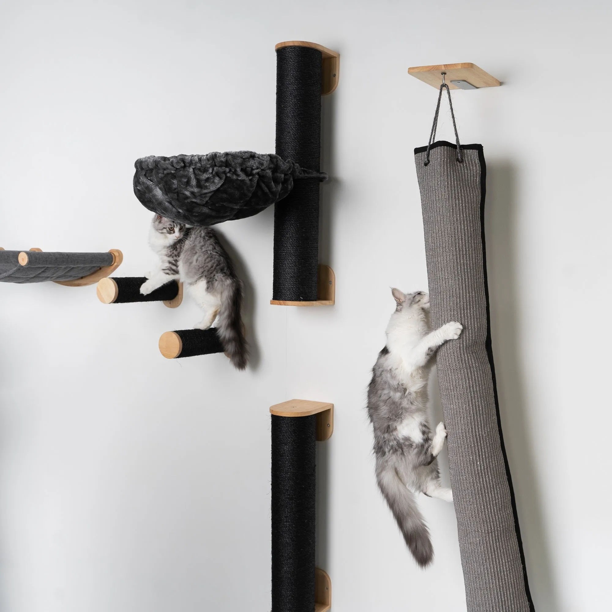 Muro Escalada Para Gatos - Bolsa de Escalada y Rascado (Blackline)