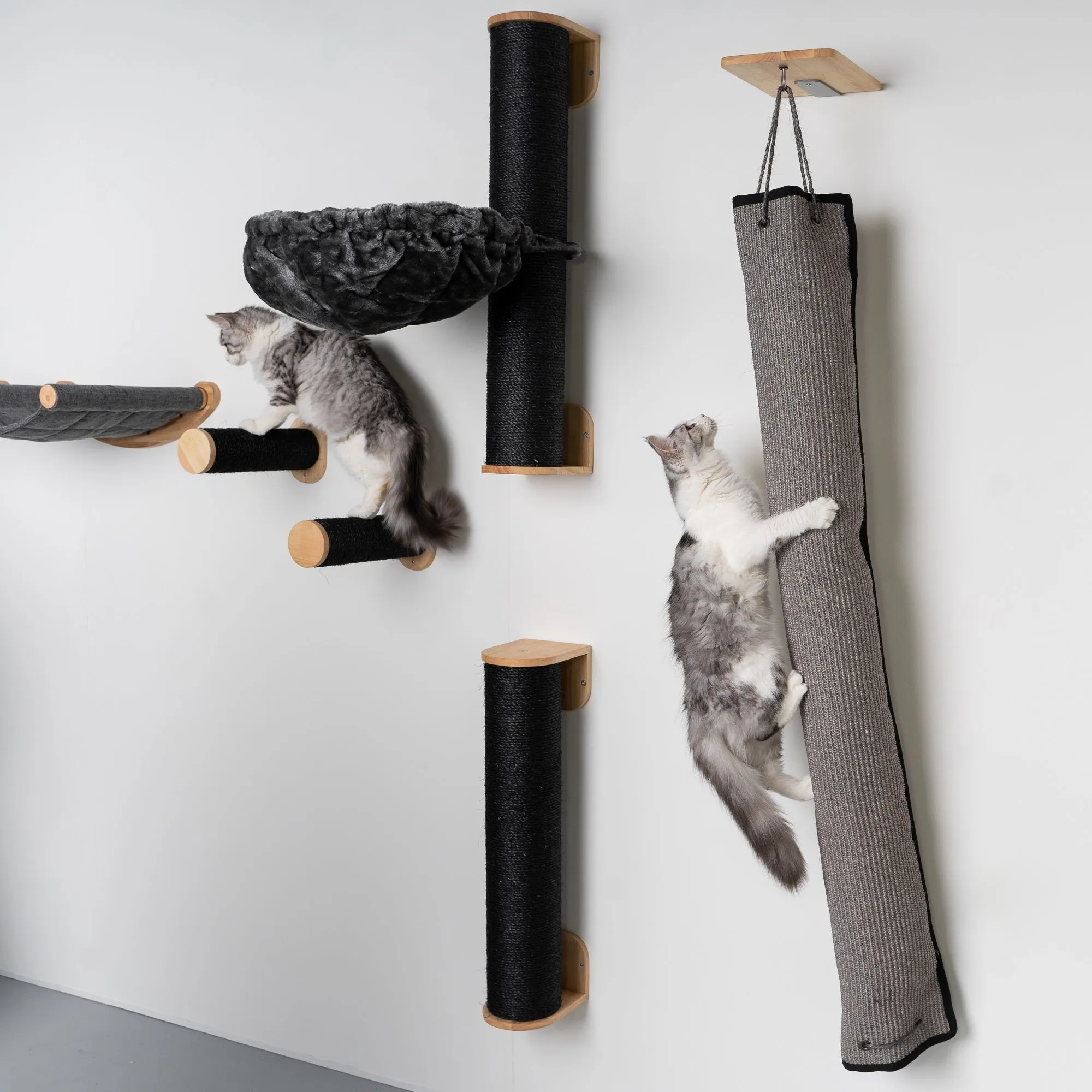 Muro Escalada Para Gatos - Bolsa de Escalada y Rascado (Blackline)