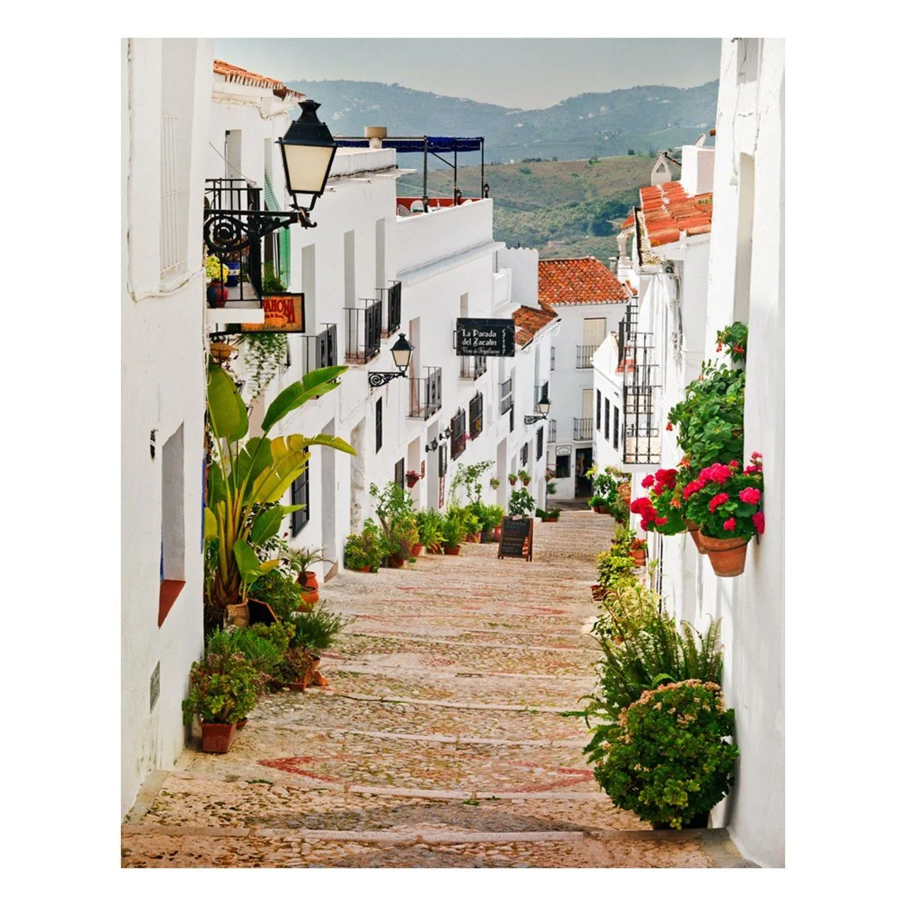 "Calle de Blanco" SALE Framed Fine Art Print 20x24
